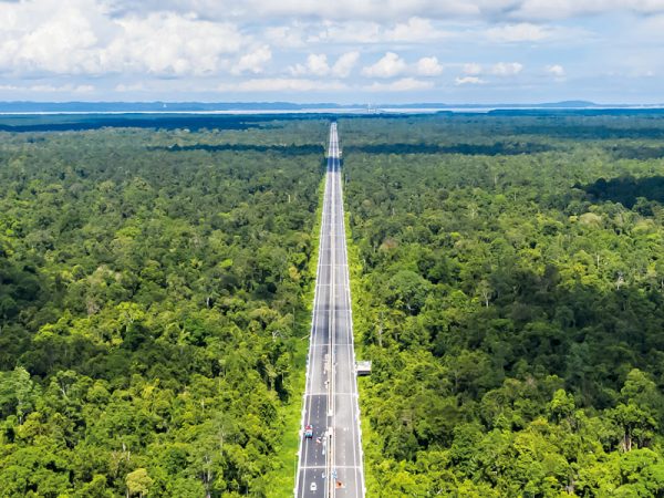 When complete the Temburong Bridge in Brunei will be 30km long